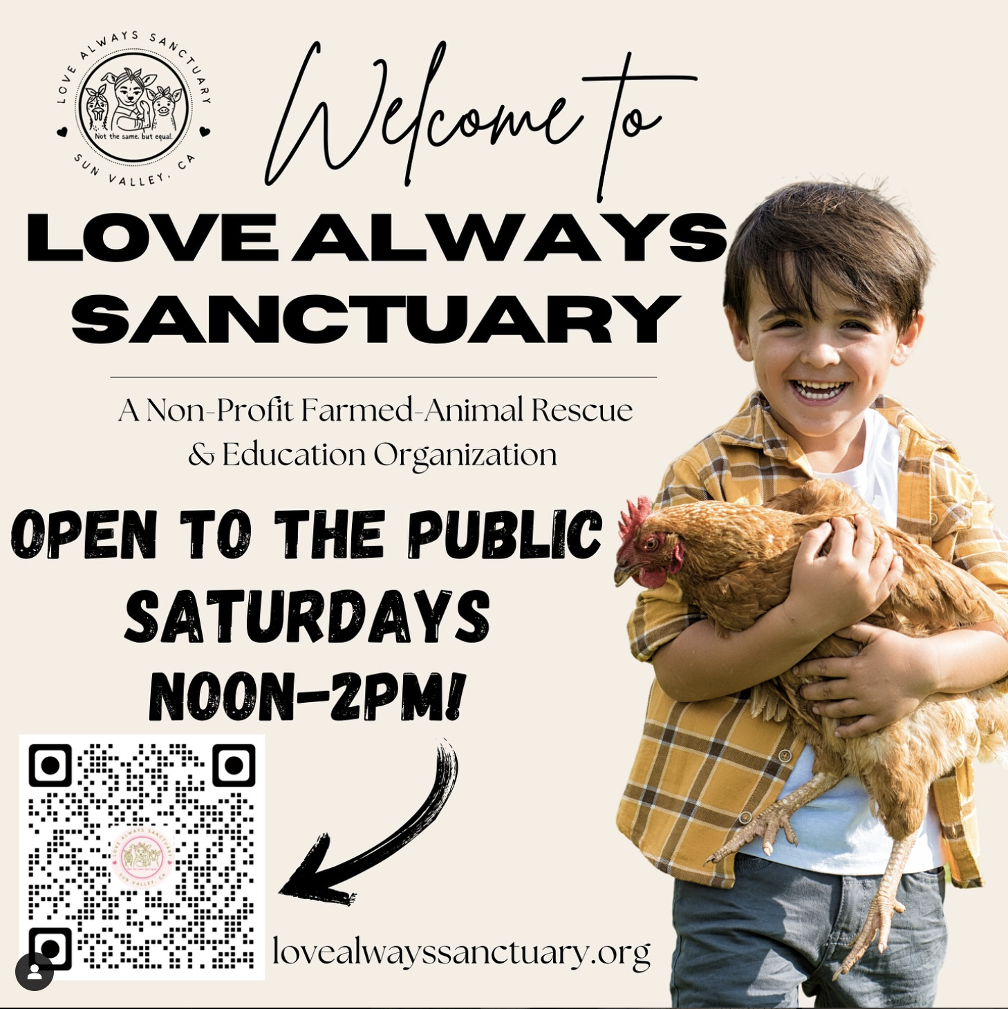 Love Always Sanctuary Open Barn